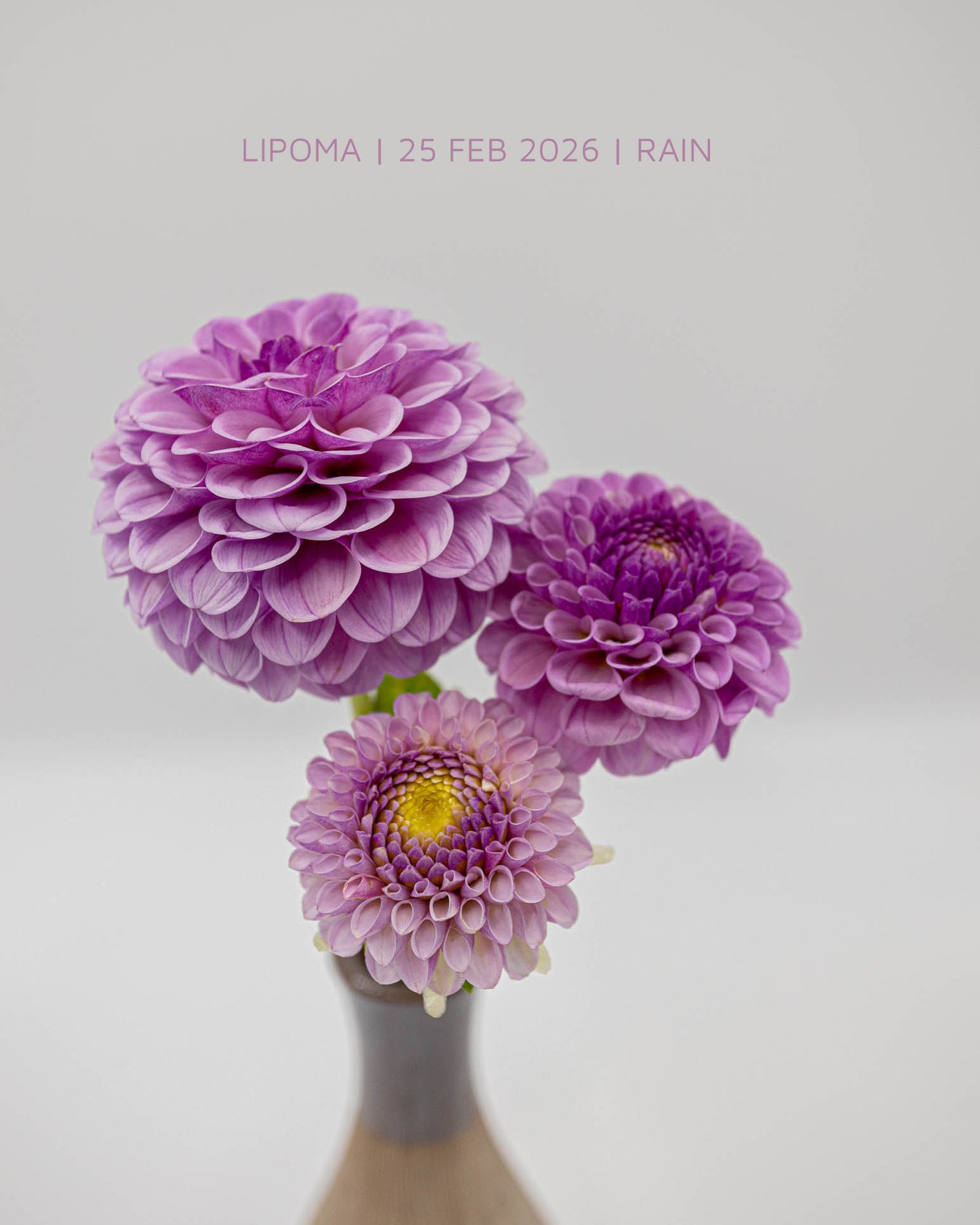 Lipoma