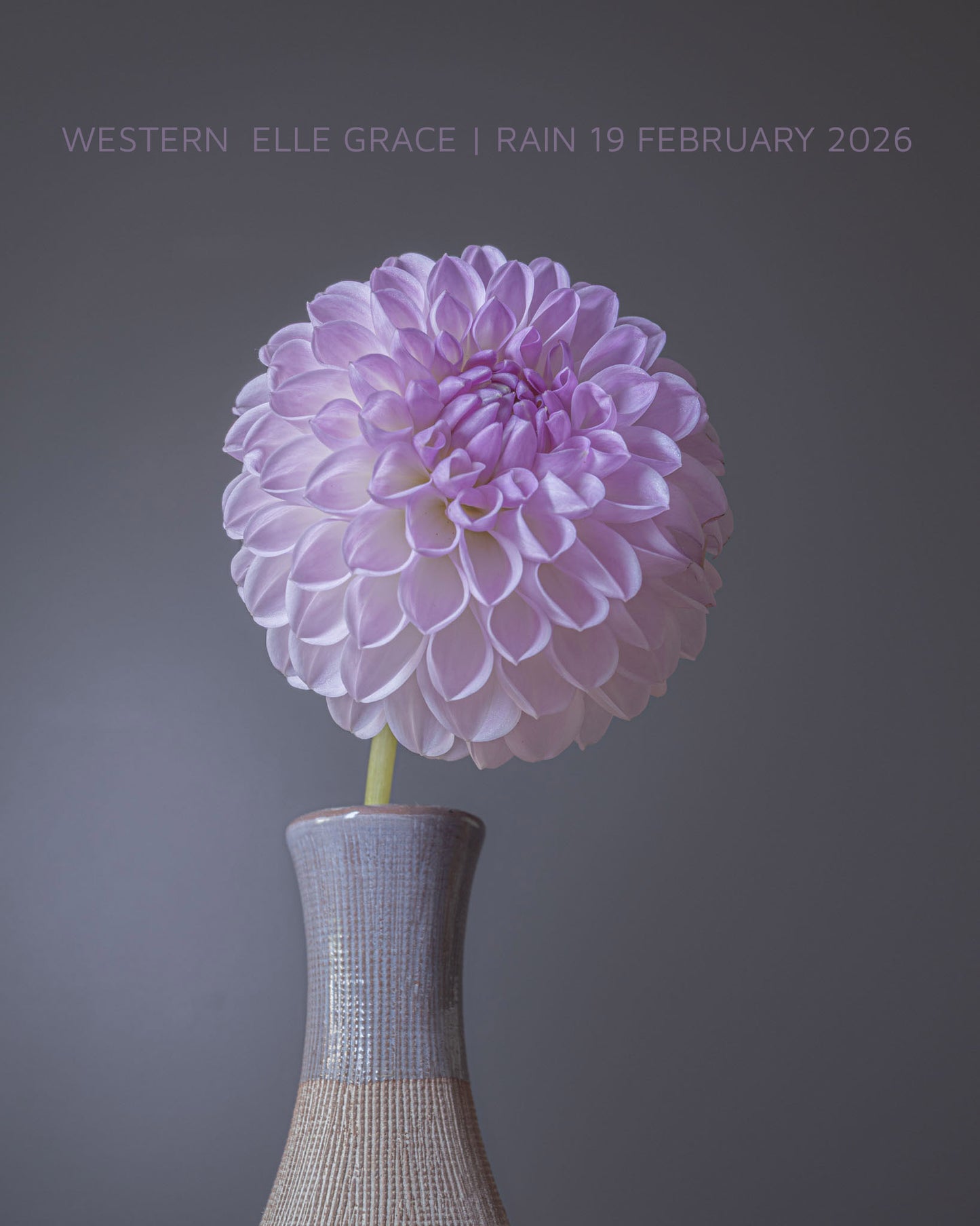 Westerton Ella Grace