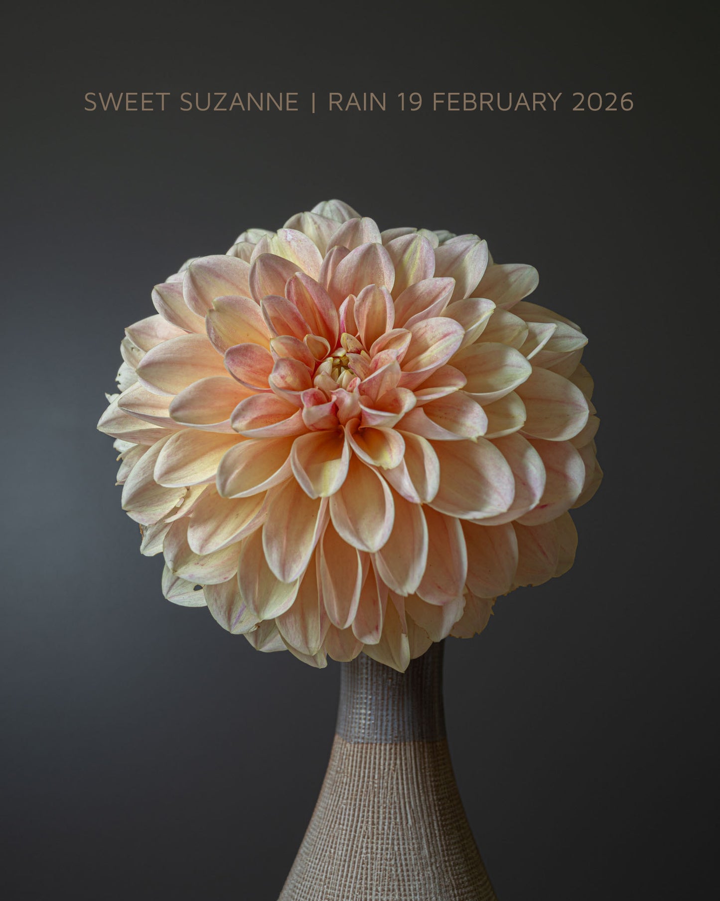 Sweet Suzanne
